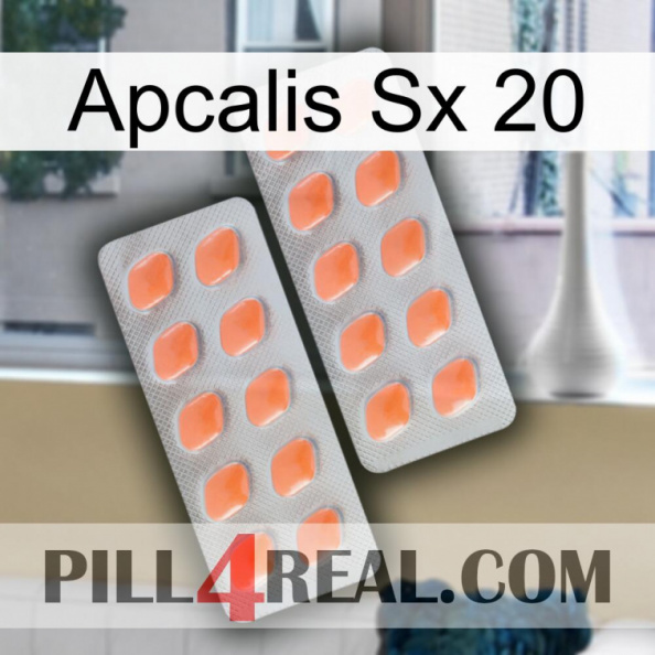 Apcalis Sx 20 27.jpg